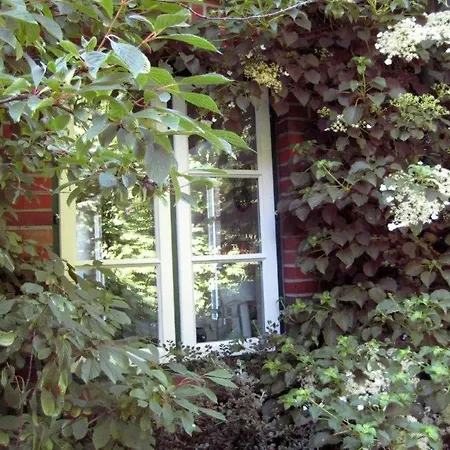 Marsch Auf Foehr